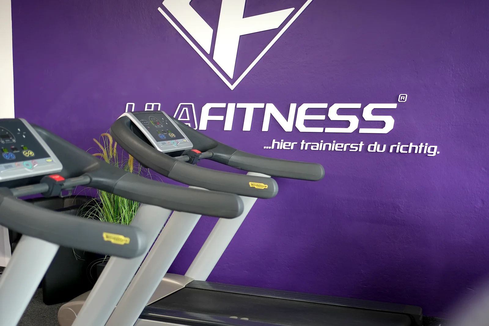 Cardio-Bereich im Fitnessstudio Flöha – Lila Fitness