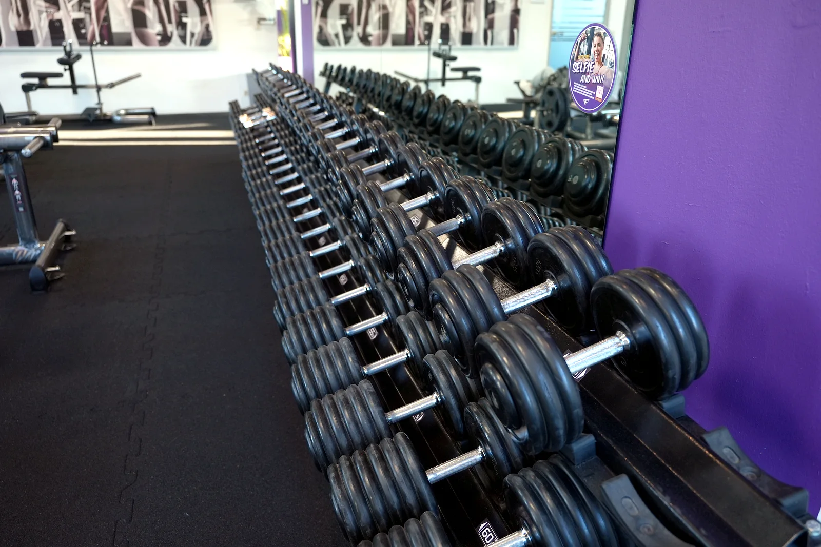 Freihantelbereich im Fitnessstudio Flöha – Lila Fitness