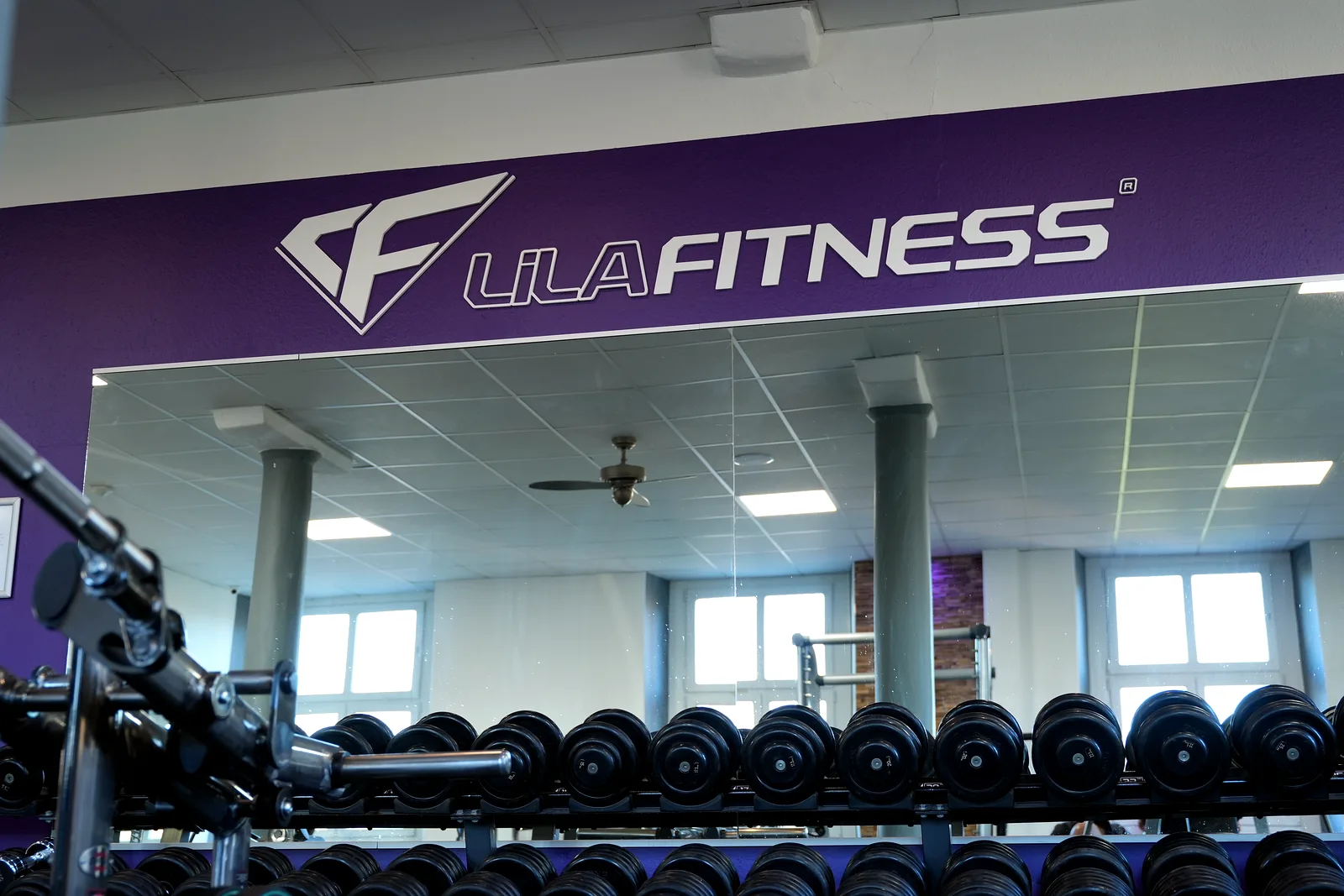 Kurzhantelbereich mit Lila Fitness Markenwand im Fitnessstudio Flöha