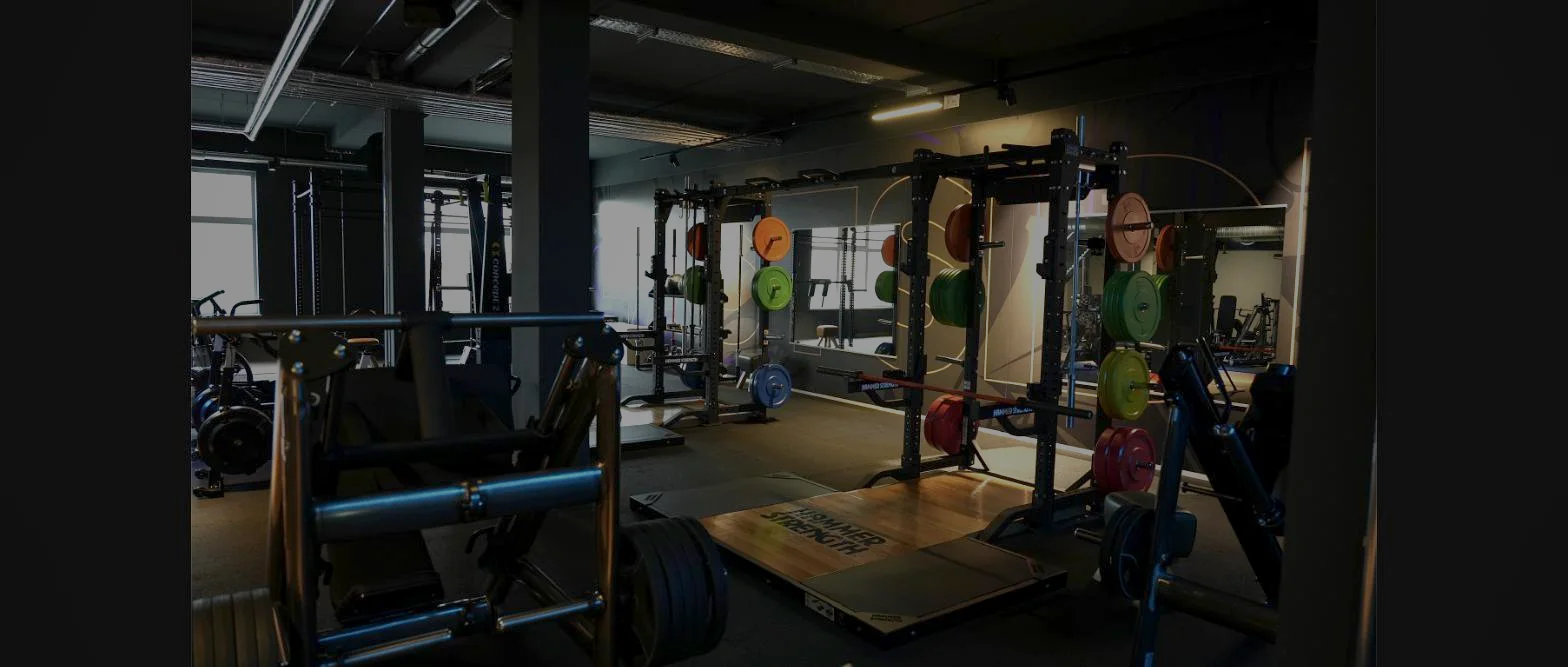 Freihantelbereich im Fitnessstudio Hohenstein-Ernstthal – Lila Fitness
