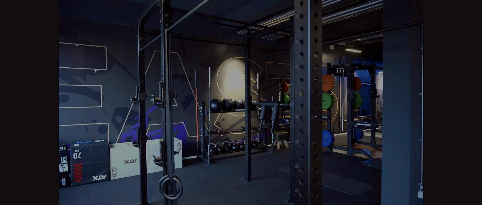 Functional Training Bereich im Fitnessstudio Hohenstein-Ernstthal – Lila Fitness