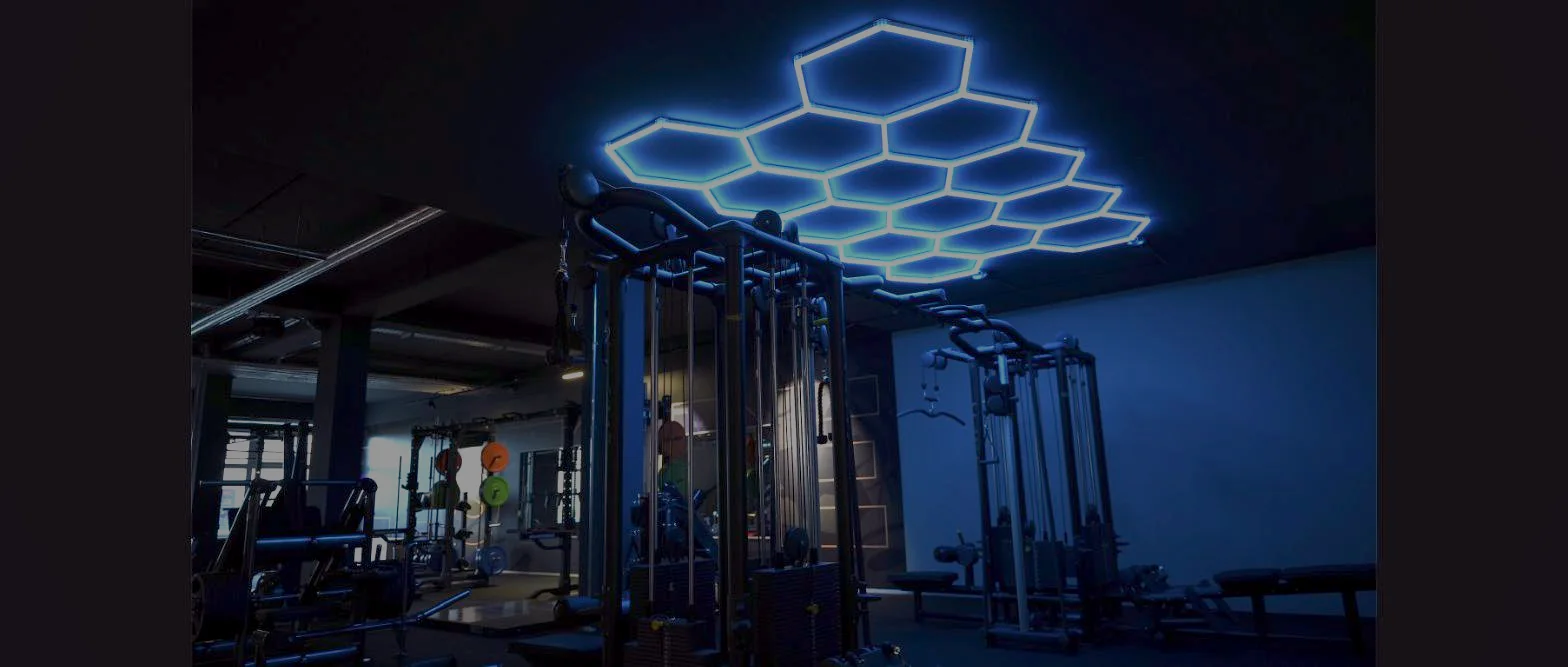 Kraftstation im Fitnessstudio Hohenstein-Ernstthal – Lila Fitness