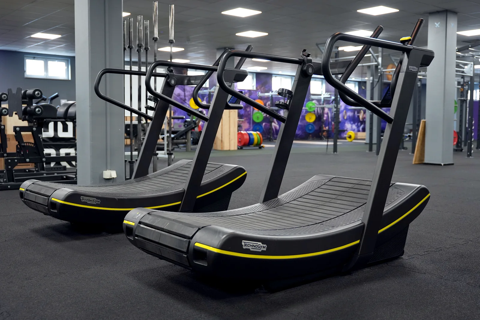 Cardio-Bereich im Fitnessstudio Schneeberg – Lila Fitness